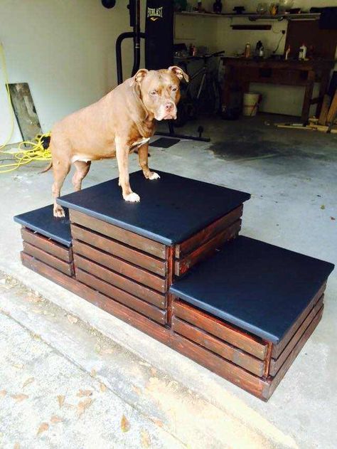 Diy Pet Stairs, Diy Dog Stairs, Diy Raised Dog Bed, Dog Stairs Diy, Pet Stairs For Bed, Dog Ramp Diy, Dog Stairs For Bed, Dog Steps For Bed, Stairs Diy