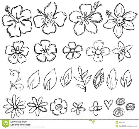 Hawaiian Flower Drawing, Summer Drawings, Anak Haiwan, Flower Drawings, Seni 2d, Vector Elements, Hawaiian Flower, Flower Sketches, Plant Drawing