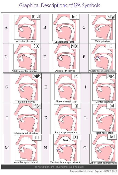 Ipa Phonetics, Phonetic Chart, Phonetics English, Linguistics Study, International Phonetic Alphabet, Speech Therapy Tools, Speech Articulation, Alphabet Chart, Slp Activities