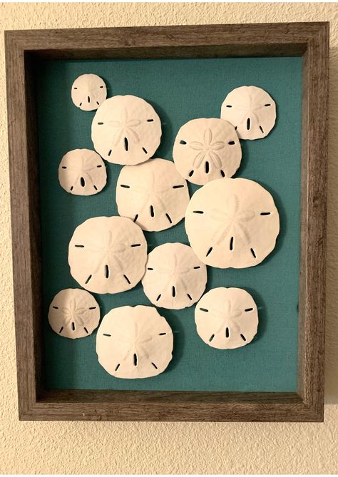 Framed SAND DOLLAR, Shell Wall Art, Shadowbox Framed Shells 1 - Etsy Art With Sand Dollars, Sand Dollar Art Wall Decor, Sandollar Crafts Diy, Sand Dollar Wall Art, Things To Do With Sand Dollars, Sand Dollar Diy, Sand Dollar Art Ideas, How To Display Sand Dollars, Sand Dollar Display Ideas