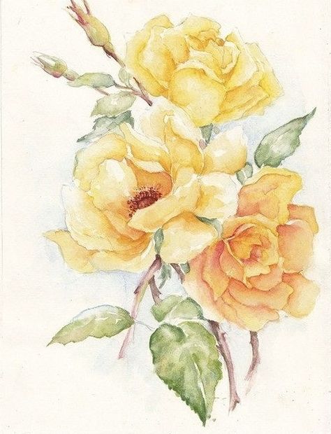 Rose Paintings, Yellow Peonies, Painted Roses, Watercolor Roses, Flowers Yellow, Abstract Line Art, Rose Painting, Watercolour Tutorials, Watercolor Rose