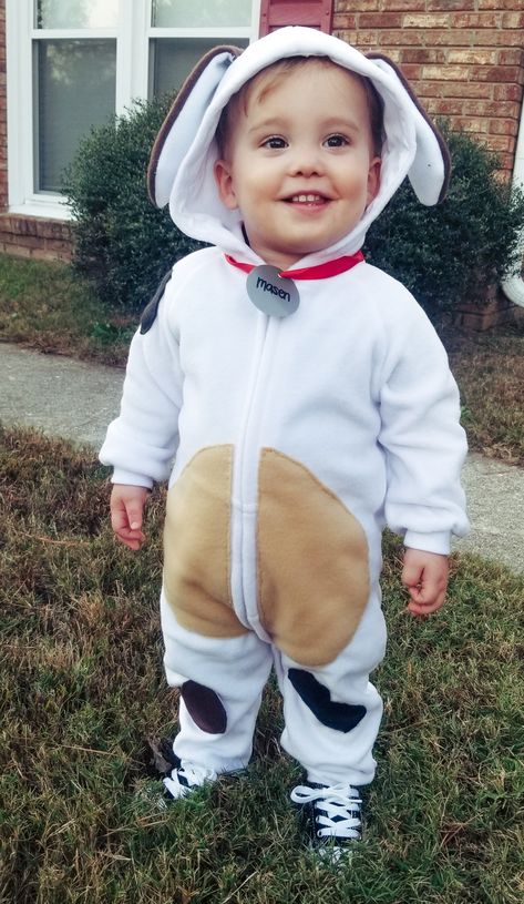 diy toddler puppy dog costume 🐶 Toddler Puppy Costume Diy, Diy Puppy Costume For Kids, Diy Dog Costume For Kids, Toddler Dog Costume, Puppy Costume For Kids, Toddler Puppy Costume, Dog Costumes For Kids, Puppy Halloween Costumes, Jack Halloween