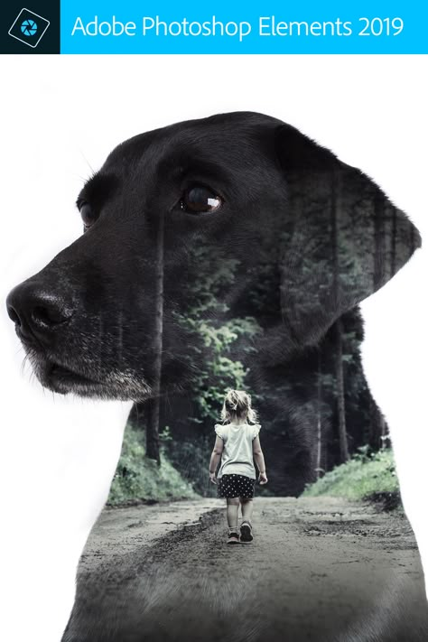 Dog Double Exposure, Double Exposure Photography Portraits, Dog Photoshop Ideas, Photoshop Double Exposure, Double Exposure Effect, Double Exposure Art, Double Exposure Photo, Double Exposure Portrait, Double Exposition