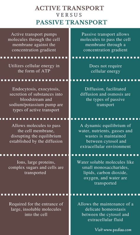 Difference Between Active and Passive Transport - Comparison Summary Active And Passive Transport, Passive Transport Notes, Active Transport Biology Notes, Passive Transport, Active Transport, Biochemistry Notes, Biology Revision, Study Biology, Biology Classroom