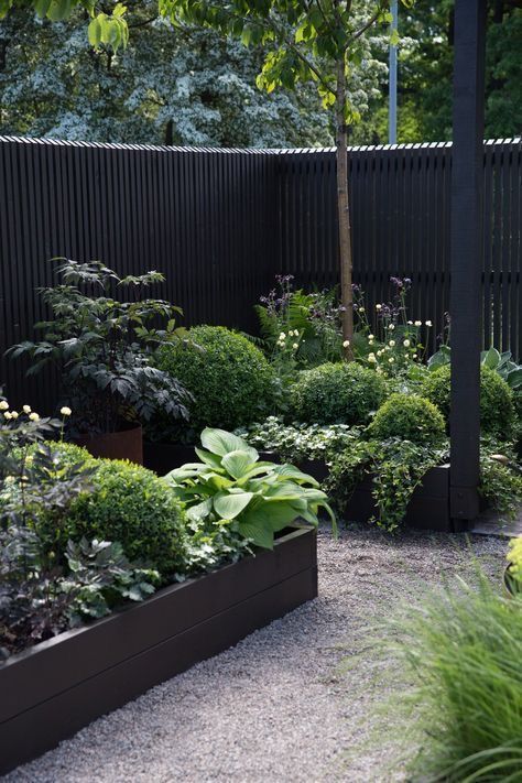 Black Fence, Lots Of Plants, Black Garden, Garden Show, Garden Pictures, New Garden, Garden Fencing, The Secret Garden, Courtyard Garden