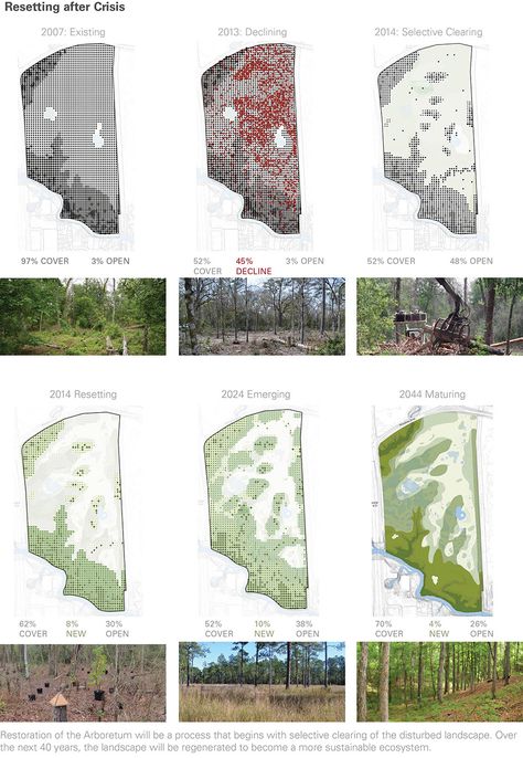 Memorial Park Design, Forest Restoration, Houston Arboretum, Landscape Plane, Landscape Diagram, Landscape Architecture Diagram, Canopy Architecture, Urban Forest, Architecture Sketchbook