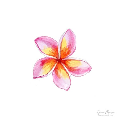 Painting Stuff Aesthetic, Plumeria Watercolor Painting, Beach Flowers Painting, Plumarias Flower Drawing, Frangipani Flower Drawing, Watercolor Frangipani, Summer Flower Drawing, Frangipani Wallpaper, Cute Little Paintings