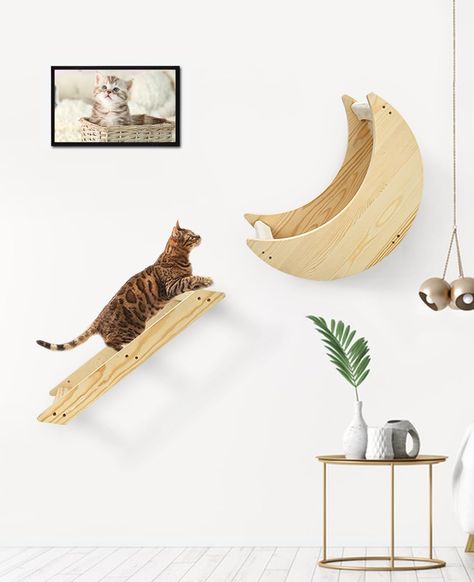 PRICES MAY VARY. STURDY AND SAFE: The wall mounted cat furniture is made of rubberwood, which is very sturdy and eco-friendly. Without any chemical smell and formaldehyde-free. The 1-inch thick rubberwood design of the cat wall steps can support the weight of large cats and ensure their safety. The cat wall shelf comes with removable cat wall hammock cloth, which is made of cotton material, soft and strong. Our cat wall shelves have used high quality and cat-friendly materials to ensure the safe Cat Wall Steps, Cat Wall Shelf, Floating Cat Shelves, Cat Climbing Shelves, Cat Climbing Wall, Cat Wall Shelves, Cat Wall Furniture, Modern Shelf, Cat Hammock