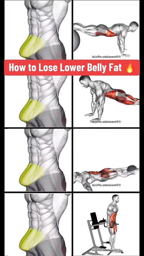 "Lose Lower Belly Fat Fast! 🔥 Discover effective exercises and tips to burn stubborn lower belly fat. Perfect for beginners and fitness enthusiasts. #LowerBellyFat #FlatStomach #FatLossTips #FitnessJourney Flat Stomach Tips, Lose Lower Belly Fat Fast, Lose Lower Belly, Lose Lower Belly Fat, Effective Exercises, Lower Belly Fat, Lower Belly, Flat Stomach, Fitness Journey