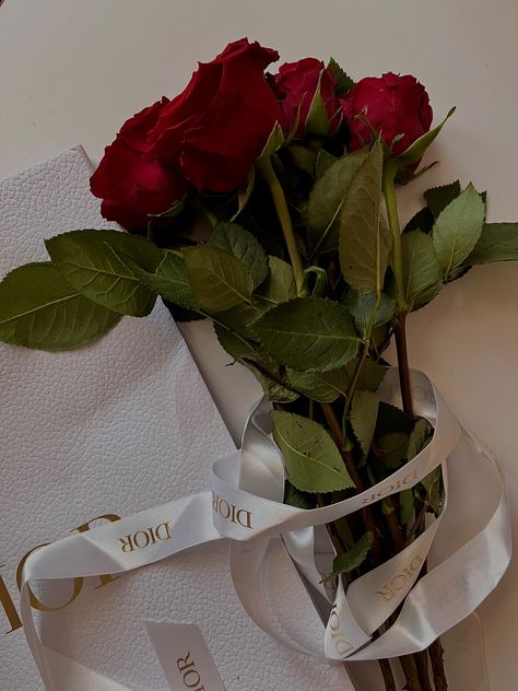 Roses, red roses, Dior Red Dior Aesthetic, Dior Red Aesthetic, Dior Campaign, Roses Aesthetic, Red Roses Wallpaper, Dior Aesthetic, Aesthetic Roses, Aesthetic Red, Rose Wallpaper