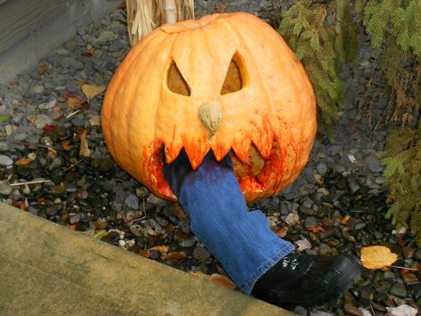 Hungry Pumpkin, Pumpkin Ideas, Family Halloween, Halloween Pictures, Pumpkin Carving, Carving, Halloween, Art