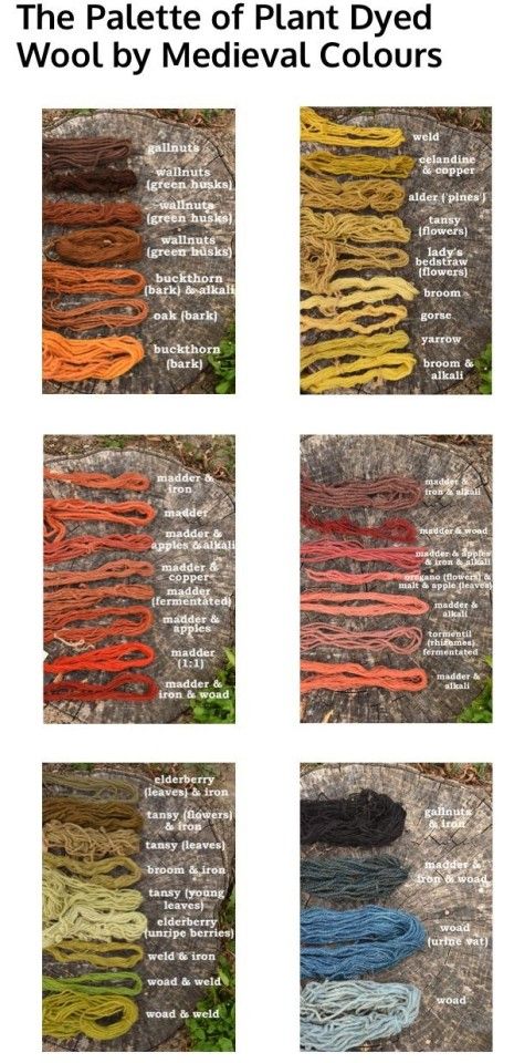 Natural Dye Fabric, Colorful Clothes, Dye Colors, Have Inspiration, Plant Dyes, Nature Crafts, Historical Clothing, Art Tips, Writing Inspiration