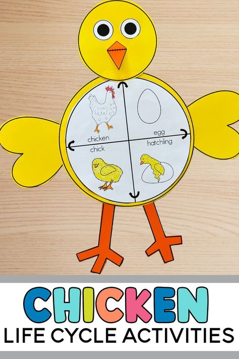 This chicken life cycle craft is the perfect activity to teach the life cycle of a chicken! Students will love creating this simple craft to reinforce their learning of the chicken life cycle! Preschool Life Cycle Activities, Chicken Life Cycle Craft, Chicken Life Cycle Activities, Farm Theme Crafts, Free Printable Preschool Worksheets, Life Cycle Of A Chicken, Life Cycle Activities, Chick Craft, Chicken Life Cycle