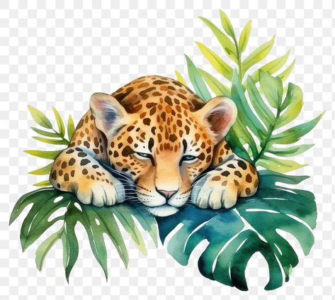 Cartoon Cheetah, Leopard Sleeping, Drawing Sleeping, Leopard Cartoon, Jungle Cartoon, Cheetah Cat, Glasses Ideas, Leopard Watercolor, Cartoon Tiger