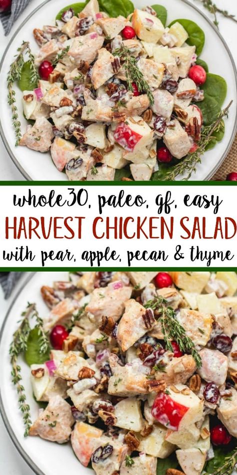 Harvest Chicken Salad, Paleo Chicken Salad, Paleo Menu, Mayo Chicken, Chicken Salad With Apples, Protein Dinner, Paleo Salads, Resep Salad, Diner Recept