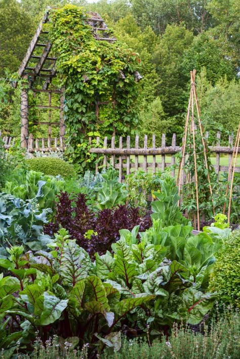 Chicago Landscape, Fenced Vegetable Garden, Garden Boxes Raised, Potager Garden, Edible Landscaping, Veg Garden, Have Inspiration, Inspire Me Home Decor, Vegetable Garden Design