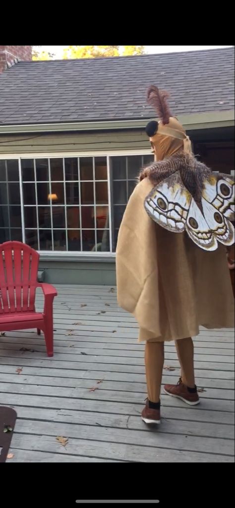 Handmade diy moth Halloween costume Moth Wings Diy, Moth And Lamp Costume, Diy Moth Costume, Diy Moth Wings, Moth Costume Diy, Moth Halloween Costume, Moth Wings Costume, Mothman Costume, Wings Costume Diy