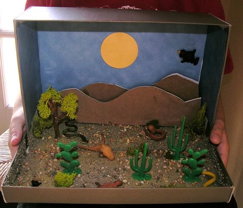 diorama mojave desert | kinwart | Flickr Ecosystems Diorama, Shoe Box Diorama, Desert Crafts, Biomes Project, Desert Diorama, Diorama Kids, Ecosystems Projects, Shoe Box Crafts, Desert Biome