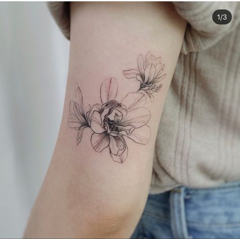 Delicate lines Magnolia Tattoos, Magnolia Flower Tattoo, White Magnolia Flower, Cute Tattoo Ideas, Magnolia Tattoo, Cute Tattoo, White Magnolia, Sunflower Tattoo, Ink Ideas