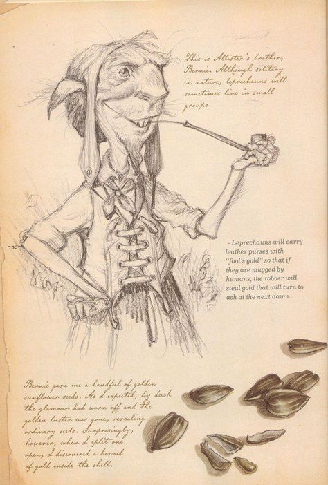 This is what's written in Arthur Spiderwick's Field Guide to the Fantastical World Around You... Tony Diterlizzi, Spiderwick Chronicles, Fairy Drawings, Elves And Fairies, Fairies Elves, Mythical Creatures Art, Fairytale Art, Mythological Creatures, Mystical Creatures