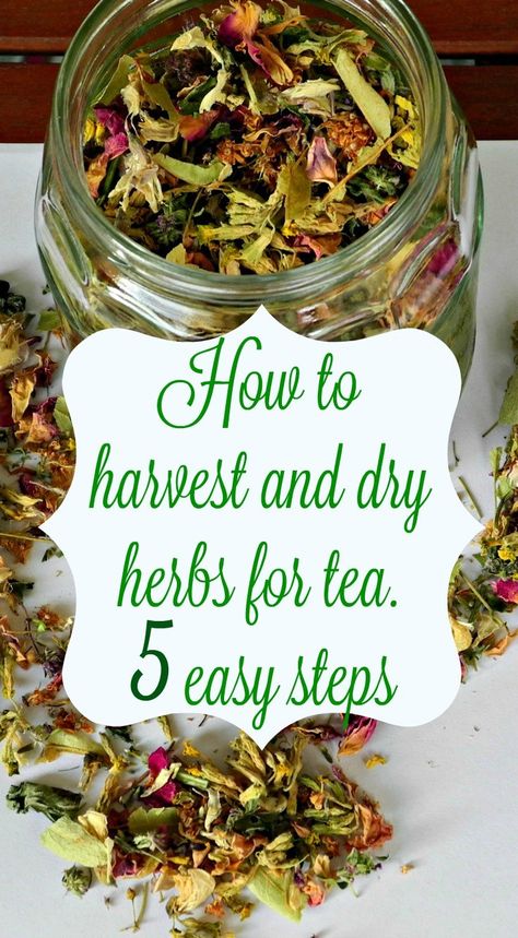 Drying Leaves For Tea, How To Dry Herbs And Flowers, Dry Herbs For Tea, Drying Tea Leaves, How To Dry Flowers For Tea, How To Dry Tea Leaves, Herbs To Grow For Tea, Drying Herbs For Tea, Canning Herbs