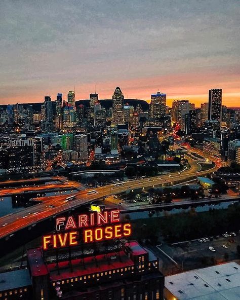 6,766 Likes, 32 Comments - Tourisme Montréal (@montreal) on Instagram: “Bonne nuit // Good night 📷par/by @jfsavaria  #mtl #montreal #mtlmoments” Things To Do In Montreal, Visit Montreal, Montreal Travel, Of Montreal, Montreal Quebec, Quebec City, Montreal Canada, Alberta Canada, City Aesthetic