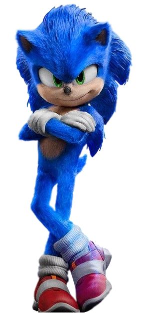 Sonic The Hedgehog Costume, Sonic The Movie, Sonic Birthday, Hedgehog Movie, Rouge The Bat, Silver The Hedgehog, Sonic 3, Paint Tool Sai, Sonic Franchise