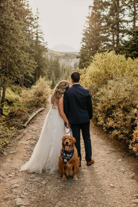 Dog And Wedding, Dog Wedding Photo Ideas, Dog In Wedding Pictures, Wedding Shoot With Dogs, Dog In A Wedding, Wedding Dog Photography, Wedding Pic With Dog, Bride And Dog Pictures, Micro Wedding Photo Ideas