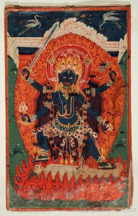 The Hindu Goddess Ugratara Tara Goddess, Tibet Art, Kali Hindu, Goddess Kali, Kali Goddess, Thangka Painting, Indian Painting, Tibetan Art, Mother Goddess