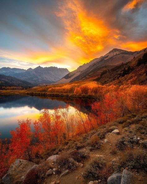 (Jay) Jedsada Yimyong 🇹🇭’s Instagram profile post: “Eastern Sierra California one of the best place to chase colors when fall season comes. It was pretty bad condition for the first light…” Sierra Season, Sierra Mountains California, Dusk Court, Mountains California, Mtg Altered Art, Sierra Mountains, John Muir Trail, If I Was A, Chasing Sunsets