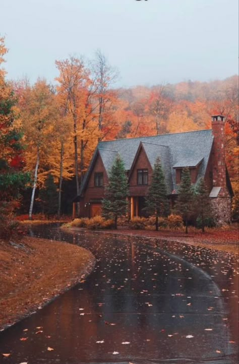 Leaves On The Ground, Autumn Scenery, Fall Feels, Cabin Life, Best Seasons, Fall Pictures, 판타지 아트, Autumn Cozy, Autumn Aesthetic