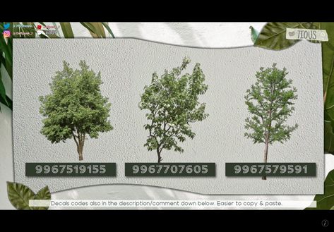 Decal Trees Bloxburg, Bloxburg Landscape Decal Codes, Transparent Tree Decal Bloxburg, Tree Codes For Bloxburg, Plant Ids Bloxburg, Blocksburg Plant Decal Codes, Decal Tree Bloxburg, Bloxburg Plant Decals Codes Palm Tree, Realistic Bloxburg Plant Decal