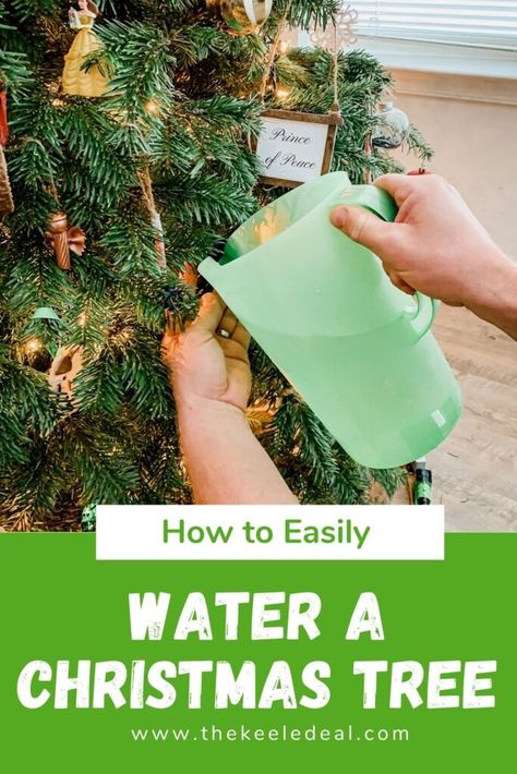 How To Keep A Christmas Tree Alive, Christmas Tree Clippings Ideas, Real Christmas Tree Care, Christmas Tree Water Solution, Best Christmas Tree Stand, Christmas Tree Care, Christmas Tree Water, Infographic Ideas, Natural Christmas Tree