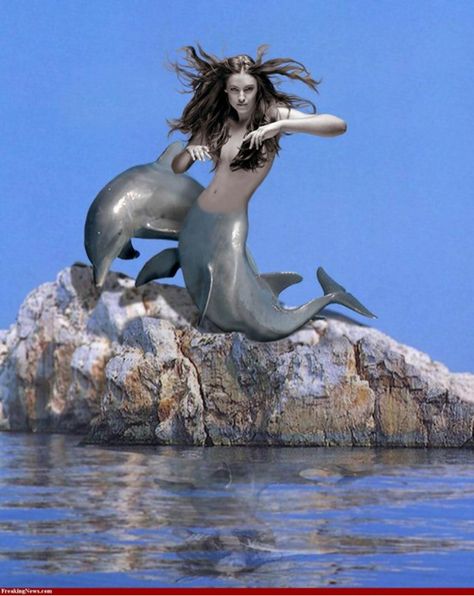 Dolphin mermaid Dolphin Mermaid, Types Of Mermaids, Dolphin Statue, Mermaid Statue, Realistic Mermaid, Mermaid Cartoon, Cartoon Drawings Sketches, Mermaid Statues, Cartoon Drawings Of People