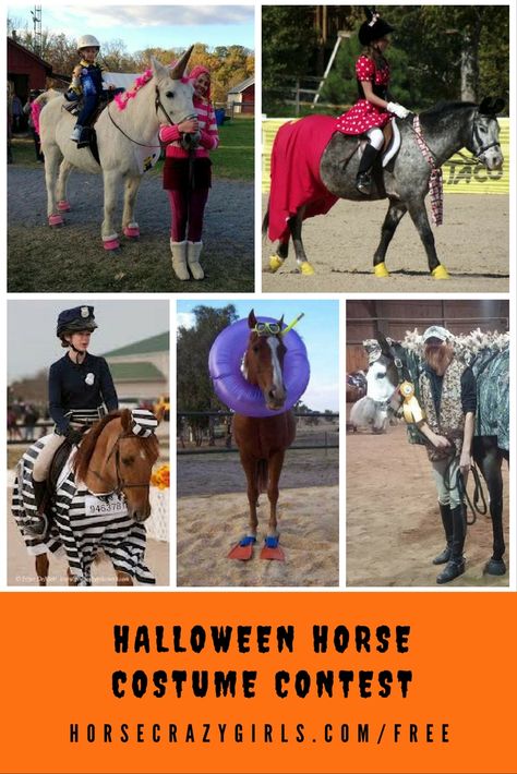 How To Dress Up Your Horse For Halloween, Costume Contest With Horse, Pony Costume Horses, Horses Dressed Up For Halloween, Horse Rider Halloween Costume, Equine Costume Ideas, Miniature Horse Costume Ideas, Horse Show Halloween Costumes, Horse Show Costumes