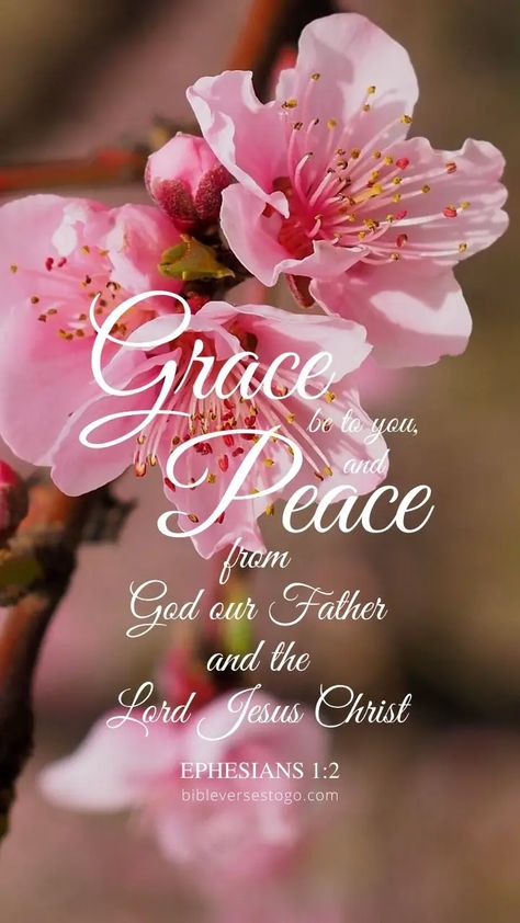 Bible Verse Backgrounds, Verse Backgrounds, Bible Verse Wallpaper Iphone, Grace And Peace, Scripture Images, Jesus Scriptures, Scripture Wallpaper, Bible Verses Kjv, Bible Verse Background