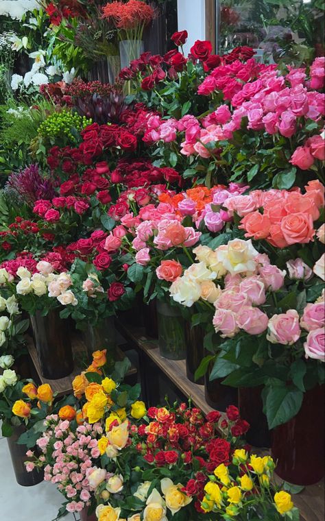 Flower Farm Pictures, Pink And Yellow Aesthetic, Flowers Aesthetic Roses, Roses Aesthetic, Aesthetic Rose, Picking Flowers, Aesthetic Roses, Boquette Flowers, Flower Shower