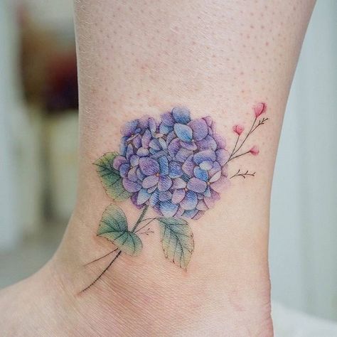 Family Flower Tattoo, Helix Tattoo, Lilly Tattoo, Hydrangea Tattoo, Beachy Tattoos, Shamrock Tattoos, Tulip Tattoo, Tattoo Process, Watercolor Hydrangea