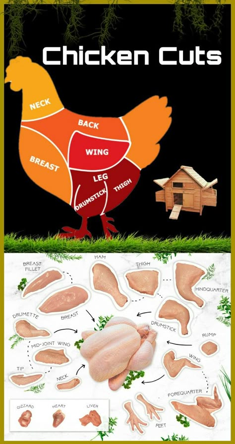 Chicken Infographic, Cuts Of Meat Chart, Meat Types, Meat Cooking Temperature Chart, How Much Meat From A Cow, Meat Infographic, Meat Cuts Chart, Meat Cooking Temperatures, Beef Cuts Chart