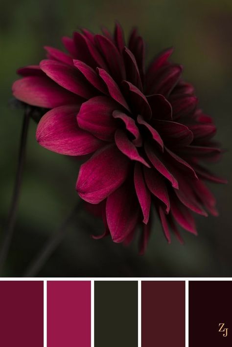 Nail Geometric, Red Colour Palette, Color Schemes Colour Palettes, Geometric Nail, Color Palate, Color Balance, Color My World, Colour Inspiration, Color Inspo