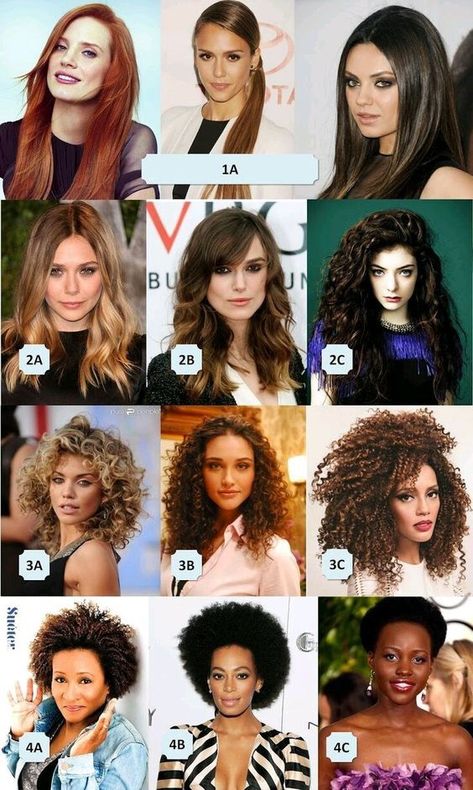 See which model your hair closely matches and get the hair tips to take care of it. #hairtypes 4c Natural Hair Products, Products For 4c Hair, 4c Hair Type, Hair Type Chart, Cantu Hair Products, Hair Growth Charts, Type 4c Hairstyles, 4c Hair Care, Cabello Afro Natural