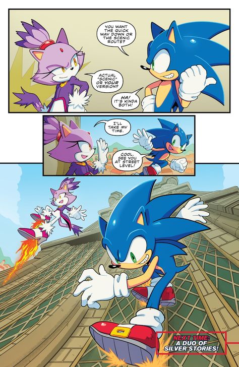 Sonic And Blaze, Sonic Blaze, Idw Sonic, Classic Sonic, Sonic Funny, Sonic Fan Characters, Blue Hedgehog, Sonic Franchise, Hedgehog Art