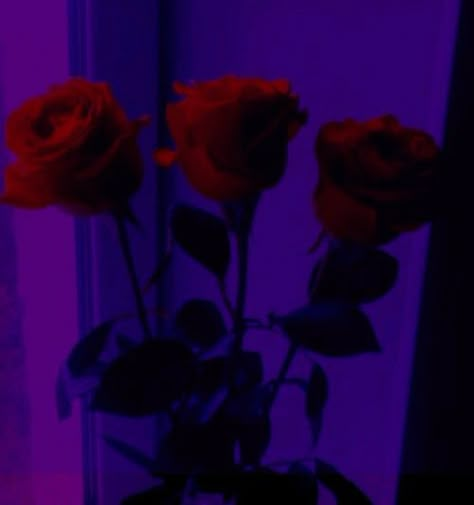 Red Purple And Black Aesthetic, Purple Black Red Aesthetic, Dark Purple Red Aesthetic, Dark Purple And Pink Aesthetic, Dark Purple And Red Aesthetic, Glowing Purple Aesthetic, Red And Purple Aesthetic Wallpaper, Red And Violet Aesthetic, Violetta Core