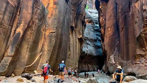 Hike the Narrows (Zion) to Wall Street - HikingGuy.com The Narrows Zion, Temple Of Sinawava, Best Hiking Gear, Hiking The Narrows, Vacay Ideas, Wade In The Water, The Narrows, Riverside Walk, Zion Canyon