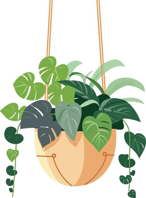 hanging flower pot, plant pot illustration, hanging flower pot, plant pot for home decor Hanging Plants Illustration, Flower Pot Illustration, Pot Illustration, Home Illustration, Drawing Hair Tutorial, Vector Infographic, Drawing Hair, Hanging Flower Pots, Hanging Flower