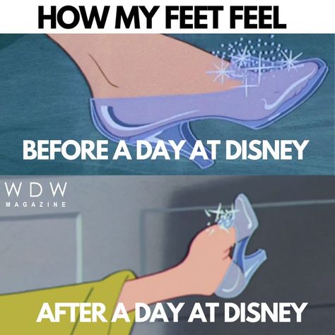 Disney World Memes, Disney World Meme, Cami Outfits, Funny Disney Memes, Funny Disney Jokes, Cheer Stunts, Funny Disney, Disney Collage, Disney Jokes