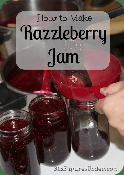 How to Make Razzleberry Jam - Six Figures Under Seedless Blackberry Freezer Jam Recipe, Blackberry Raspberry Jam, Razzleberry Jam, Fall Jams, Seedless Raspberry Jam, Jam Raspberry, Canning Instructions, Canning Jams, Homemade Jams