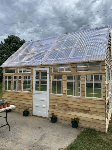 GREENHOUSE GROWERS | My hubby and I built our first greenhouse….built from repurposed windows and pallet wood | Facebook Green House Old Windows Diy, Wood Greenhouse Plans, Pallet Greenhouse, Old Window Greenhouse, Rustic Greenhouses, Recycled Windows, Window Greenhouse, Rabbit Enclosure, Reclaimed Windows