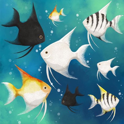 Tanya on Instagram: “My #animalalphabets angelfish! I drew the freshwater ones that I used to have as a kid. I love their shape! This is my first finished…” Angel Fish Painting, Angelfish Drawing, Ocean Steampunk, Types Of Angels, Fish Illustration, Angel Fish, Fish Painting, Year 3, Animated Drawings