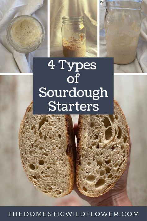 4 Types of Sourdough Starter Bread Scoring, Healty Dinner, A Loaf Of Bread, Sourdough Starter Recipe, Loaf Of Bread, Sourdough Baking, Starters Recipes, Sourdough Recipes, Artisan Bread